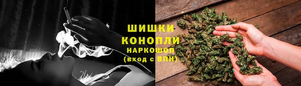 СК Магас