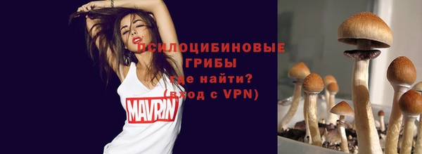СК Магас