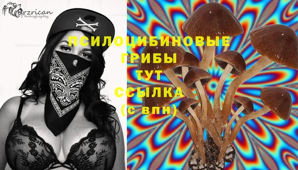 кристаллы Мегион