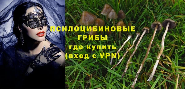мескалин Медногорск