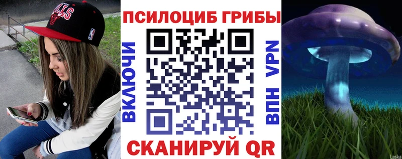 Купить где  Кирсанов  Галлюциногенные грибы Psilocybine cubensis 