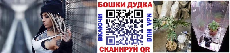 Марихуана Amnesia  Купить  Кирсанов 